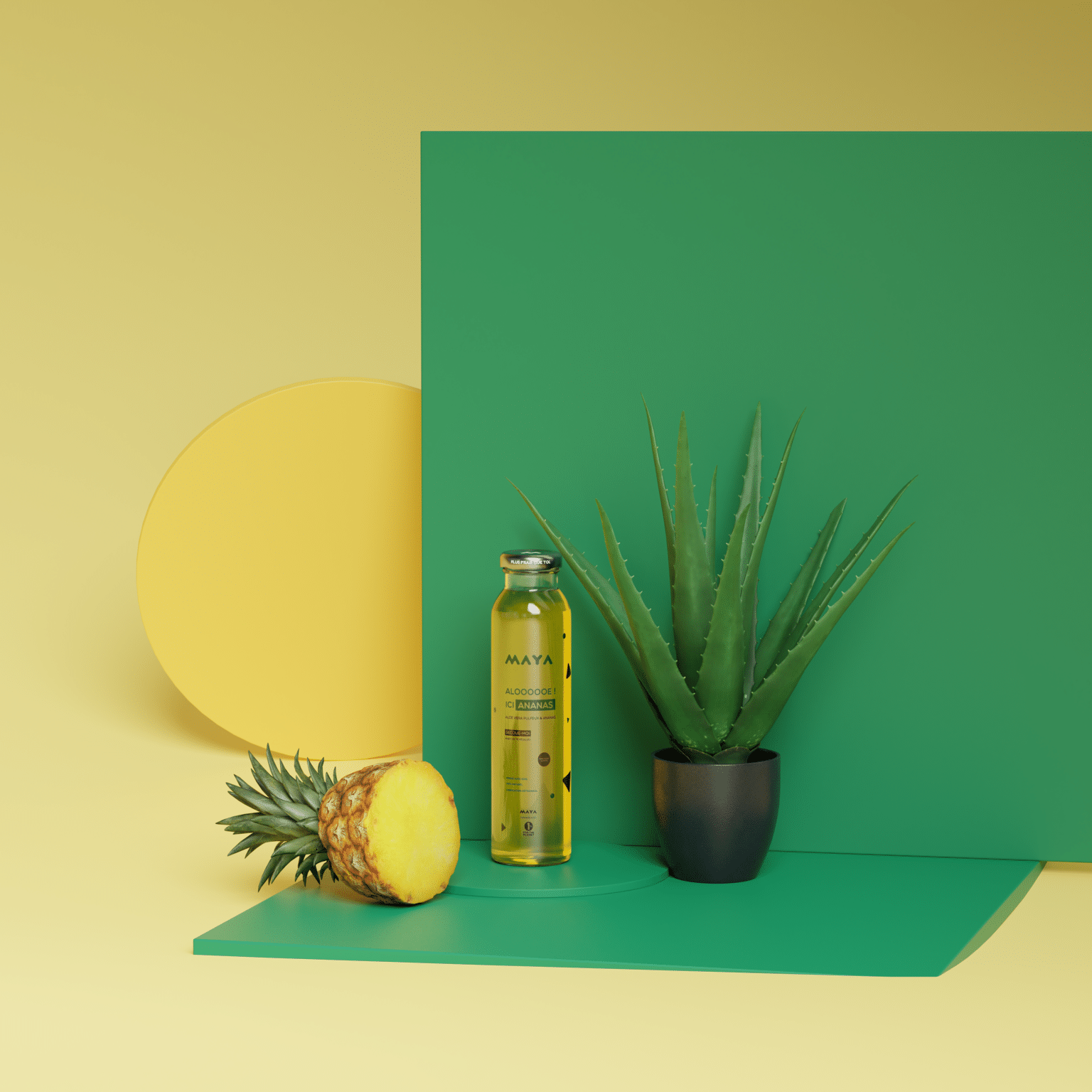 ANANAS_ALOE_ (3) (1)